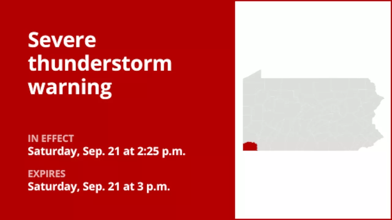Update: Damaging winds forecast with thunderstorms in Greene County Saturday