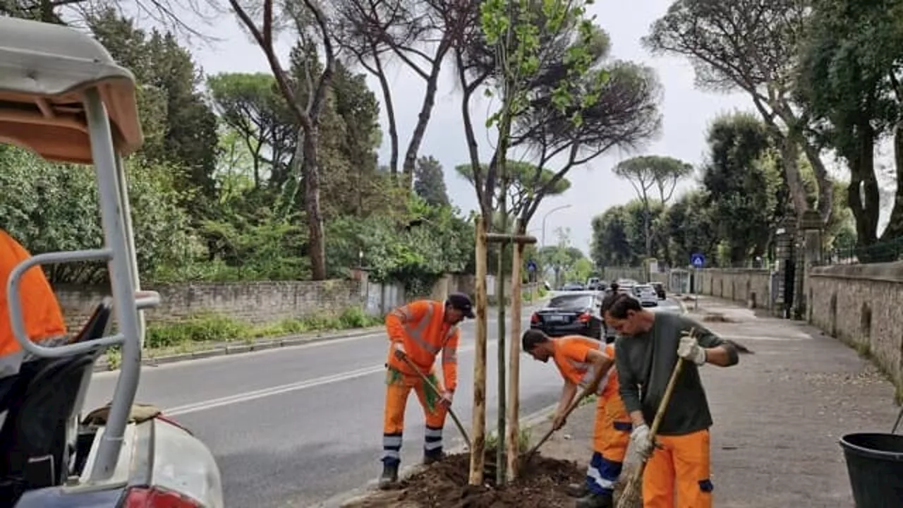 Nuovo progetto di forestazione lineare a Roma