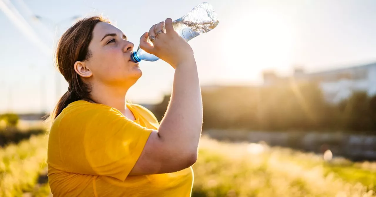 Beware The Hidden Risks Of Sun-Warmed Plastic Water Bottles