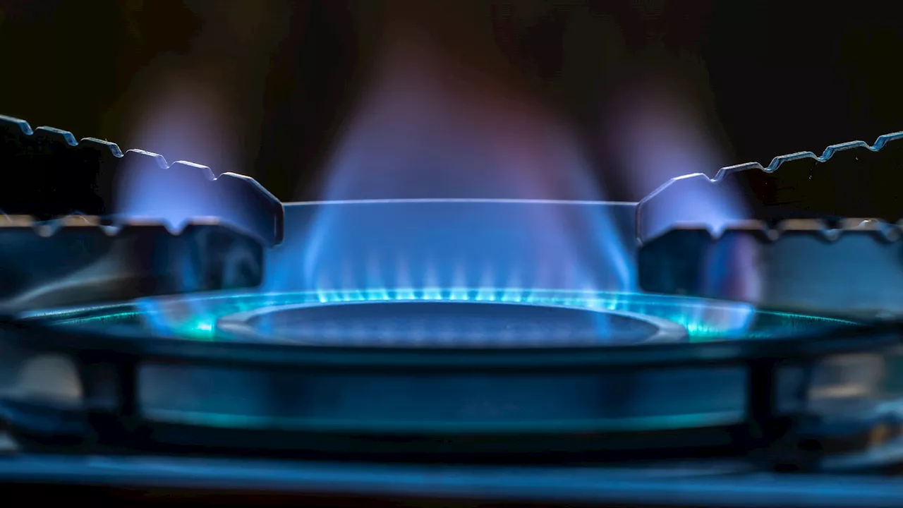 Exact dates huge energy firm with 4million customers will pay £150 discount to thousands...