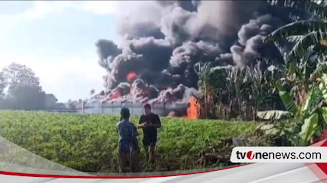 Gudang Penimbun BBM Ilegal di Hajimena Lampung Selatan Terbakar, Tiga Mobil Ikut Hangus