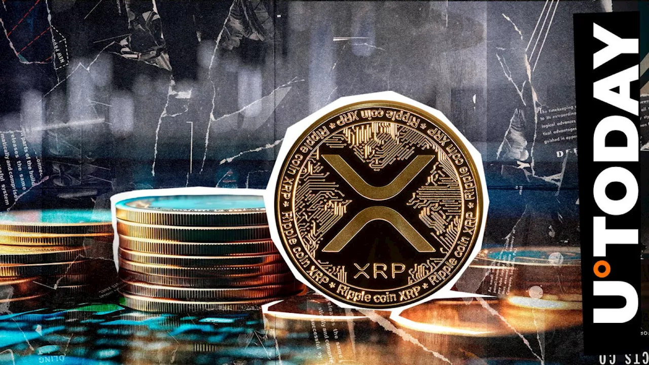 XRP Whales Go Crazy With $228 Million Shopping Spree