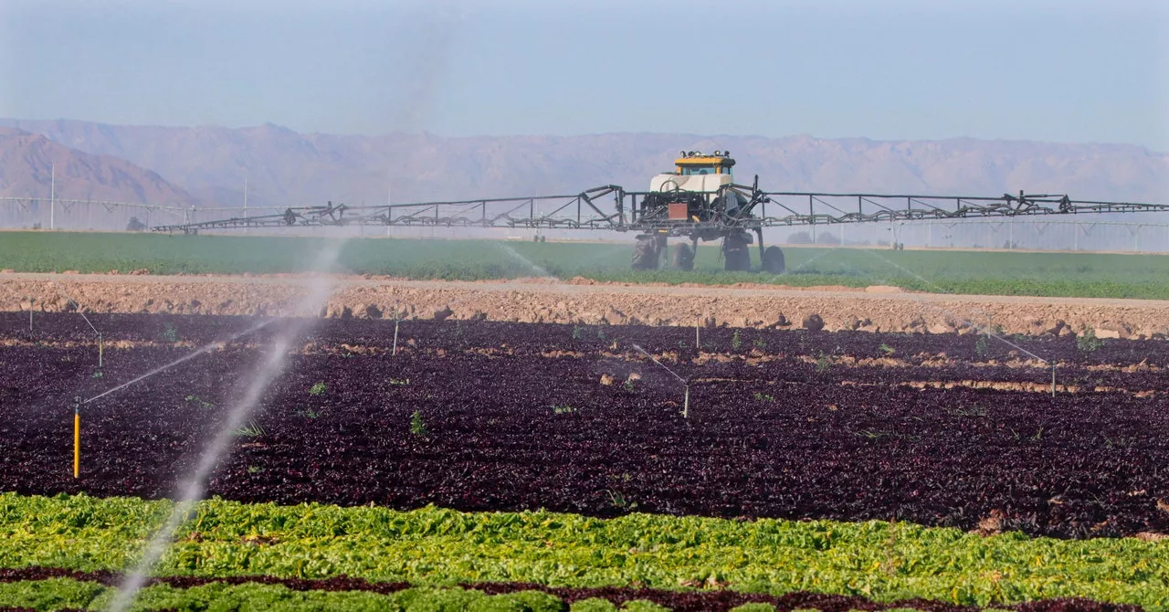 California Can Slake the Thirst of Its Farms by Storing Water Underground