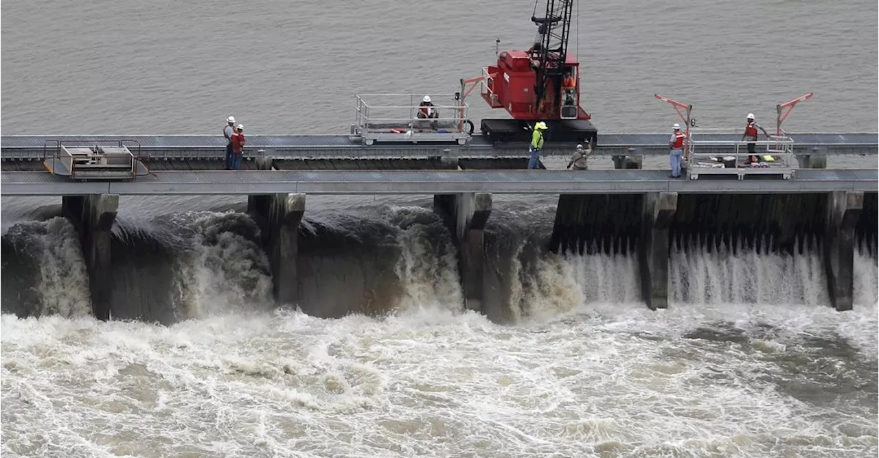 Judge dismisses lawsuit seeking to protect dolphins along the Mississippi Gulf Coast