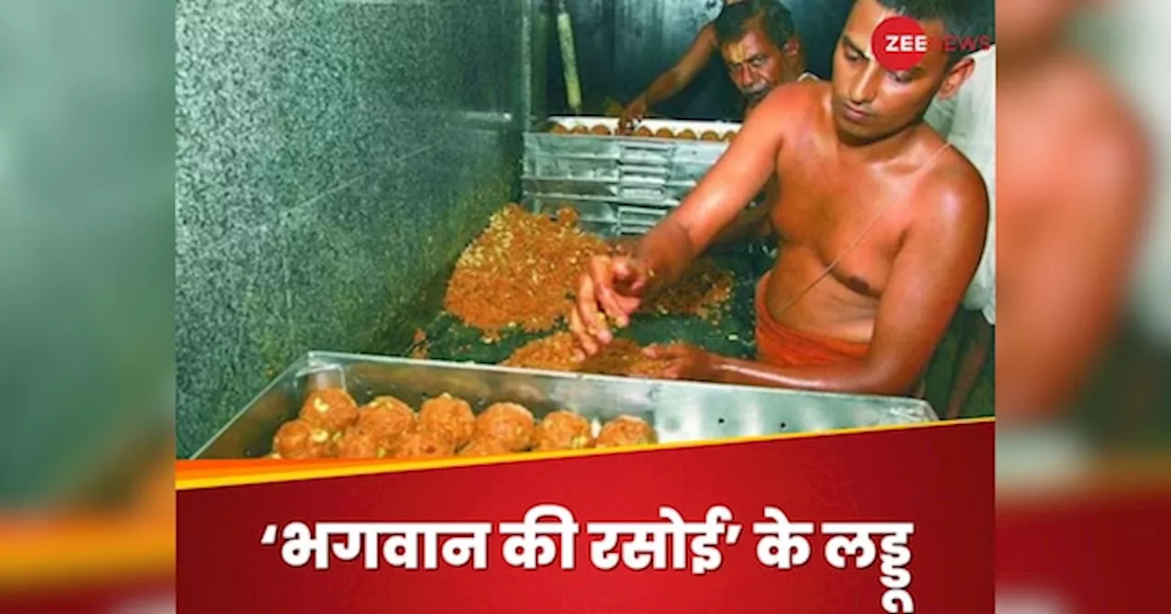 Tirupati Laddoo: तिरुपति में कब पहली बार प्रसादम बना था लड्डू, कौन हैं बनाने वाले कल्याणम अयंगर; क्या है मीरासिदारी सिस्टम?