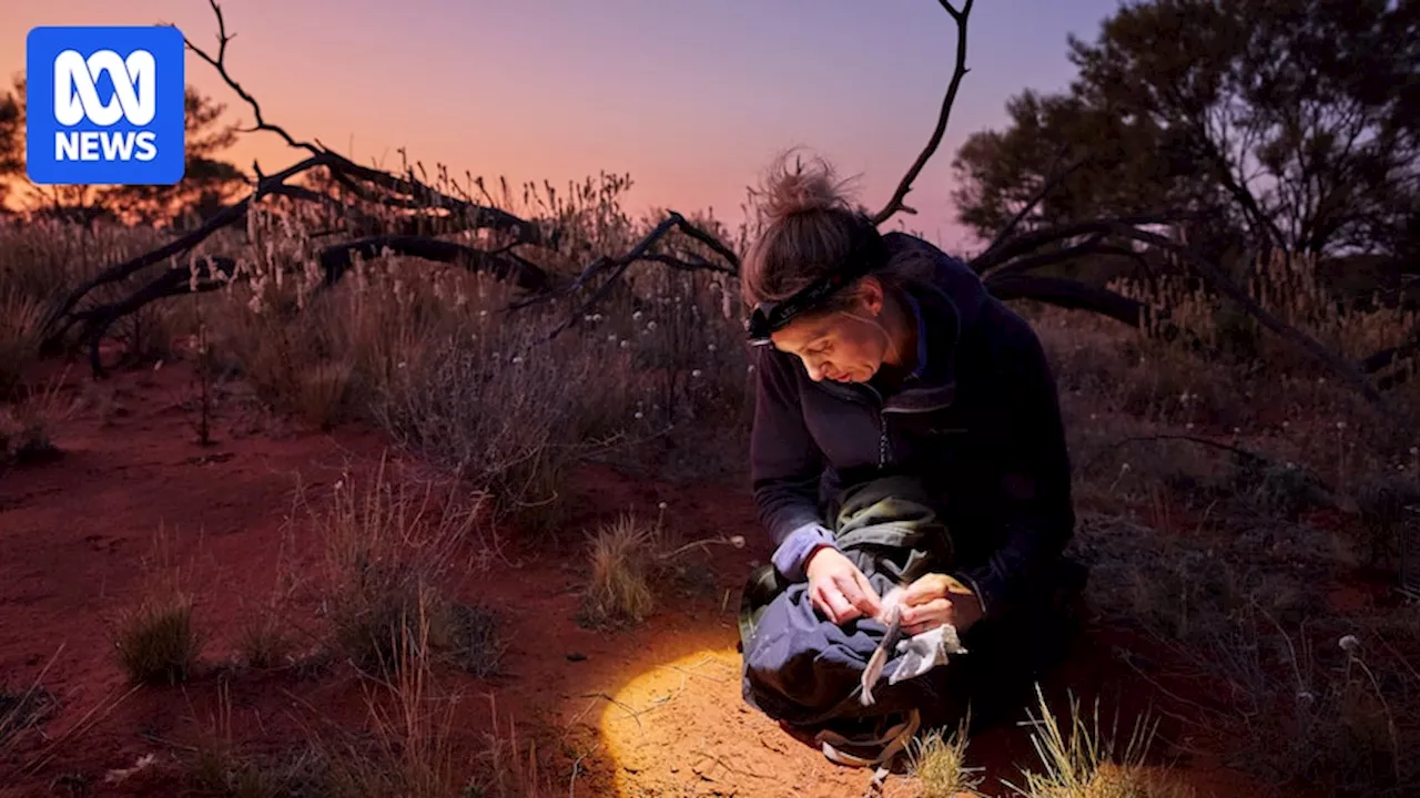 Native Animals Return to Outback Australia After Century-Long Absence