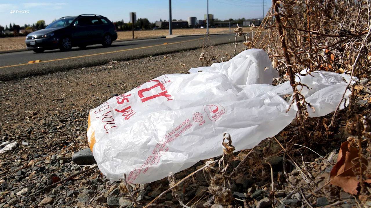 California Gov. Gavin Newsom signs law banning all plastic shopping bags at grocery stores