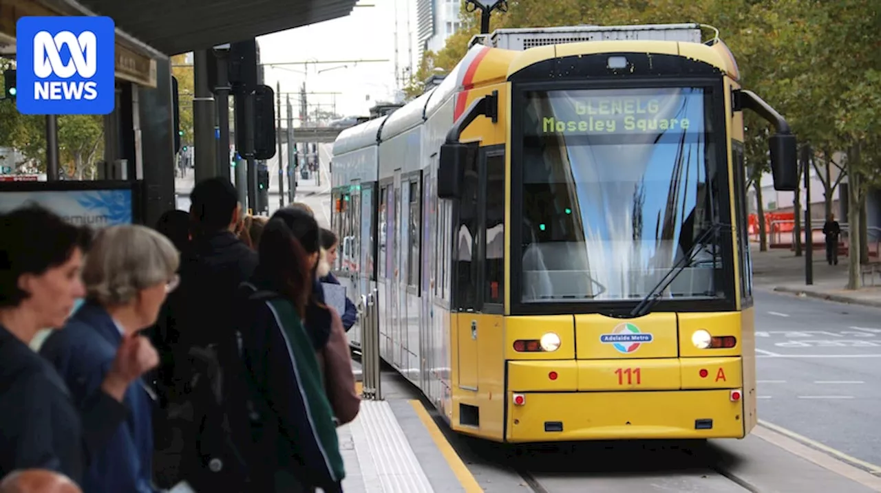 Labor's Adelaide tram revival on back burner despite warnings about future traffic congestion