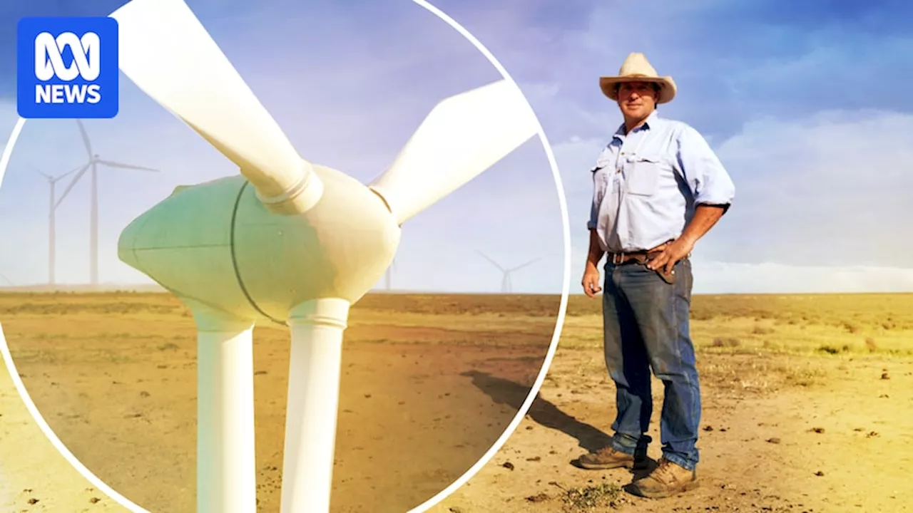 Renewable wind and solar farms on the Hay Plain in NSW to boost economy, build sustainable farms