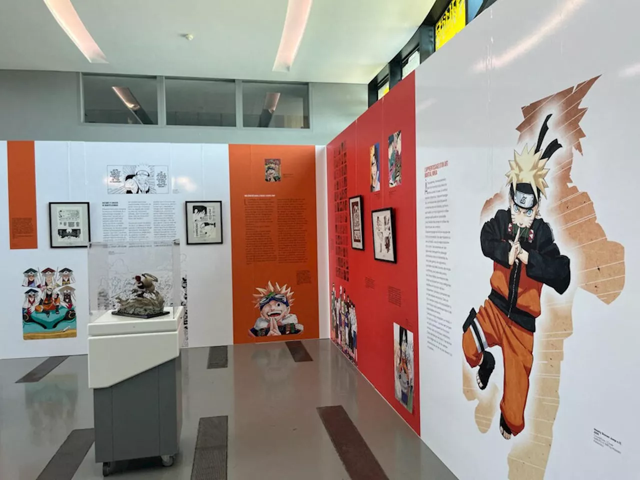 Montpellier : l'expo Naruto à Pierresvives dévoile des anecdotes inédites