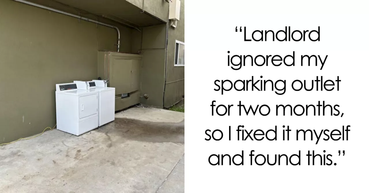 23 Landlord Stories So Wild They'll Make You Question Humanity