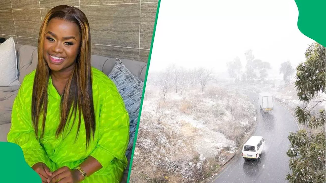 Penny Ntuli Criticised After Being Stuck on N3 in Snow Overnight, SA Calls Out Radio Presenter