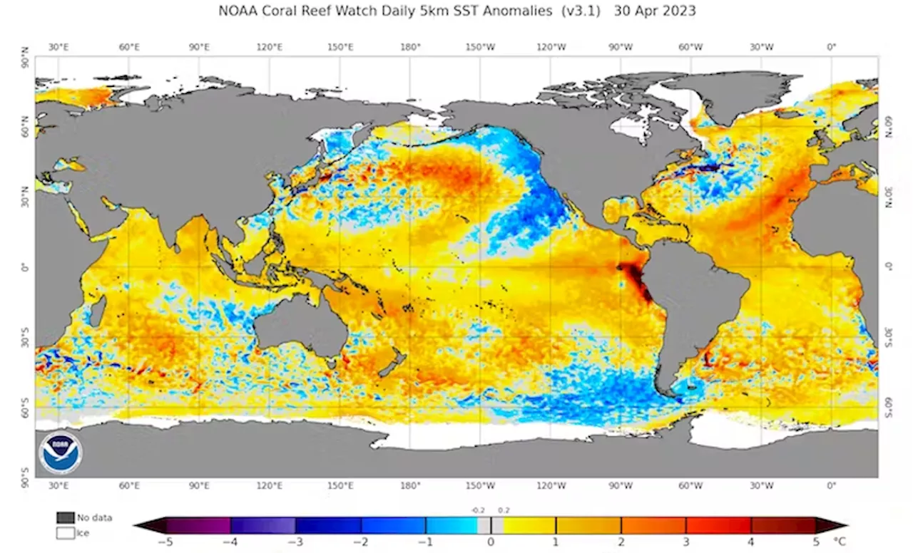 Earth Has Been Much Hotter For Most Of Its History, But Never This Fast