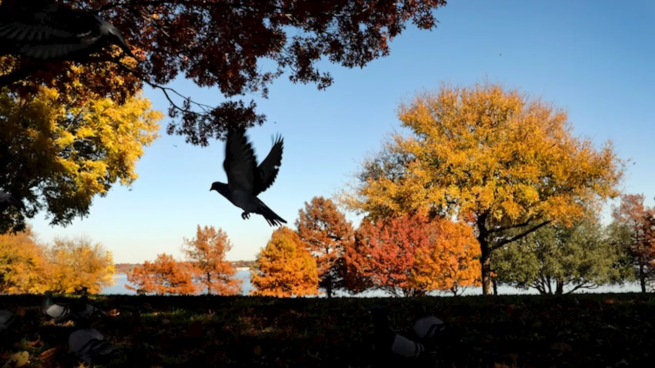 First day of fall is today; fall foliage is not far behind