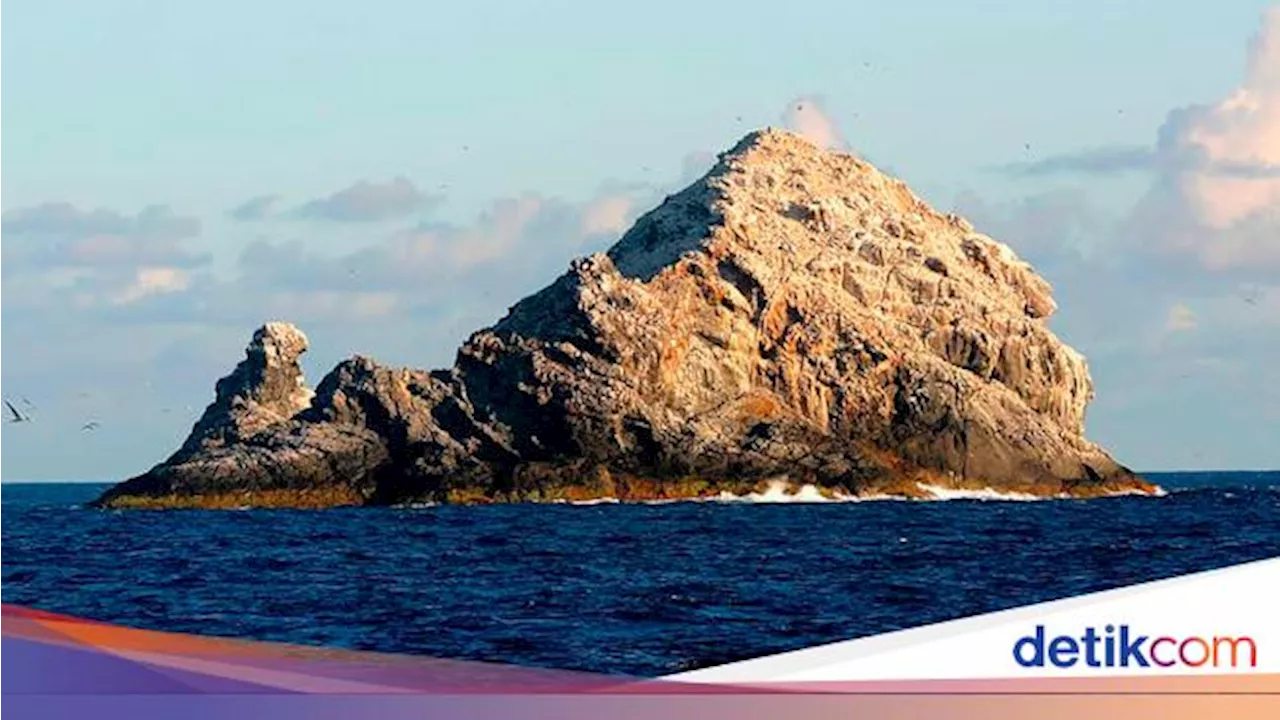 Peneliti Temukan 5 Gunung Bawah Laut Baru di Indonesia!