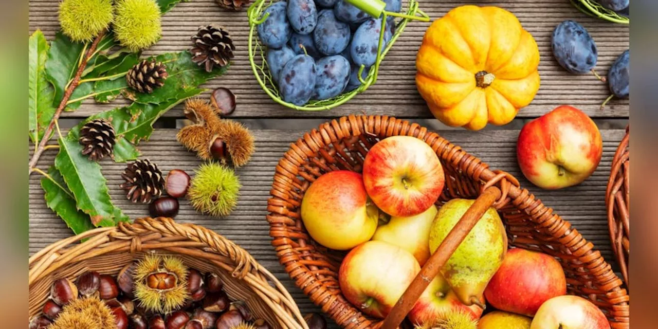 Ernährung, Anwendung und mehr: Herbstsaison: Dieses Gemüse und Obst hat jetzt Saison