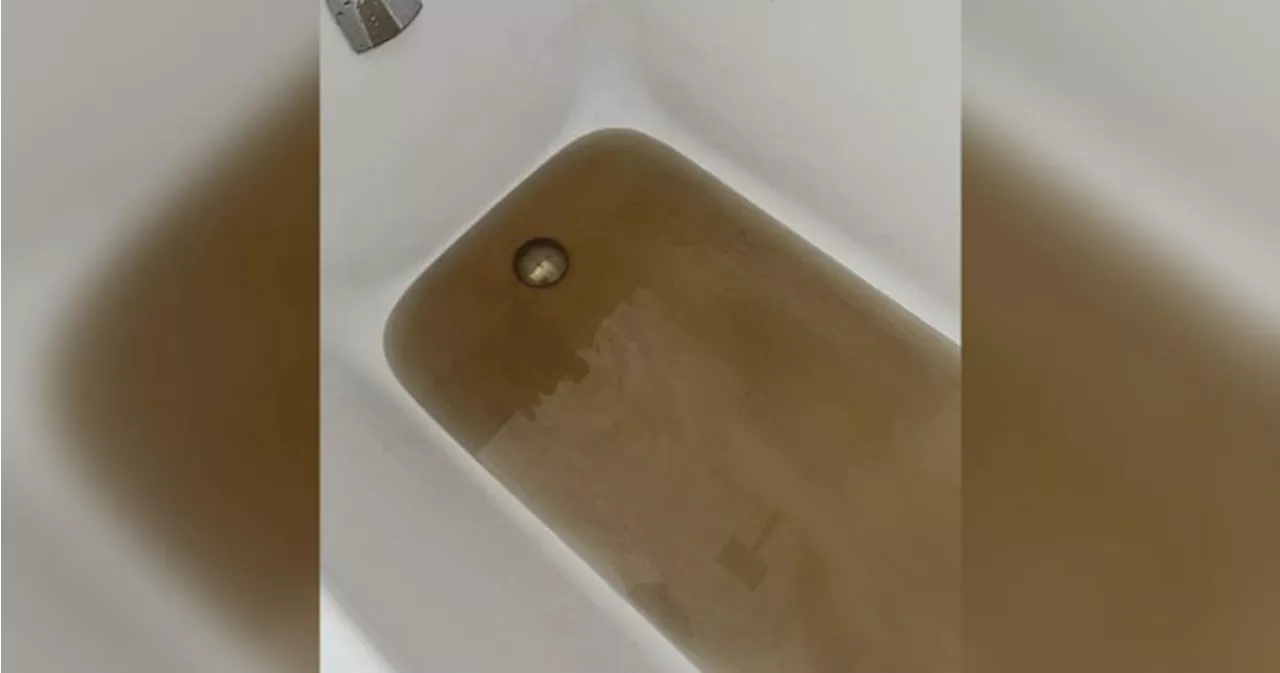 ‘Brown, stinky water’ still plagues West Kelowna residents