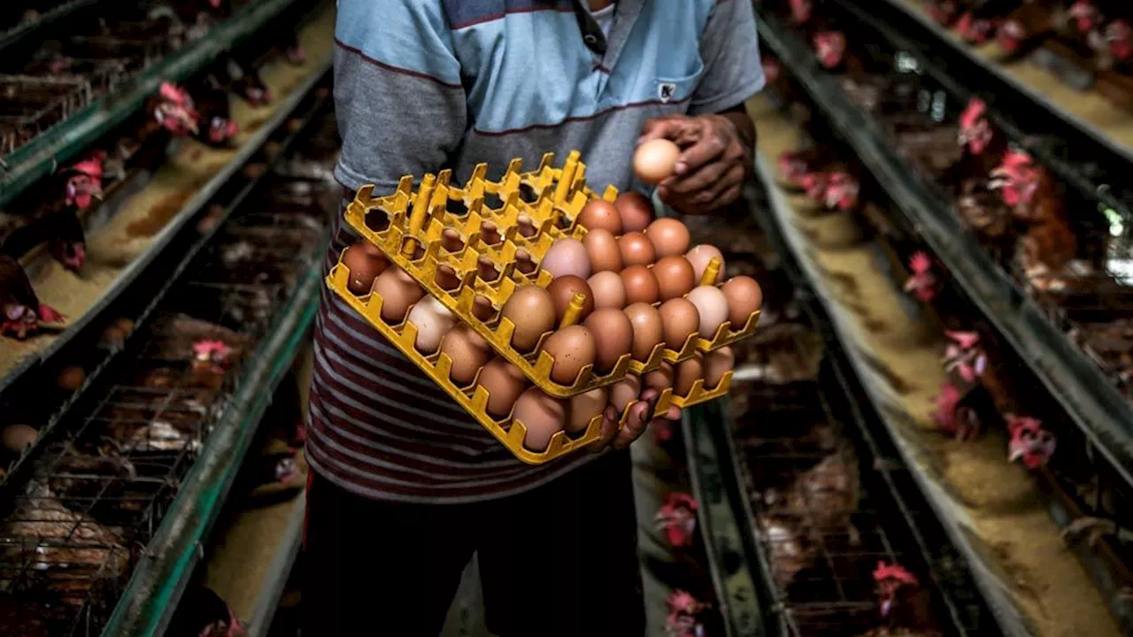 Daya Beli Masyarakat Belum Pulih