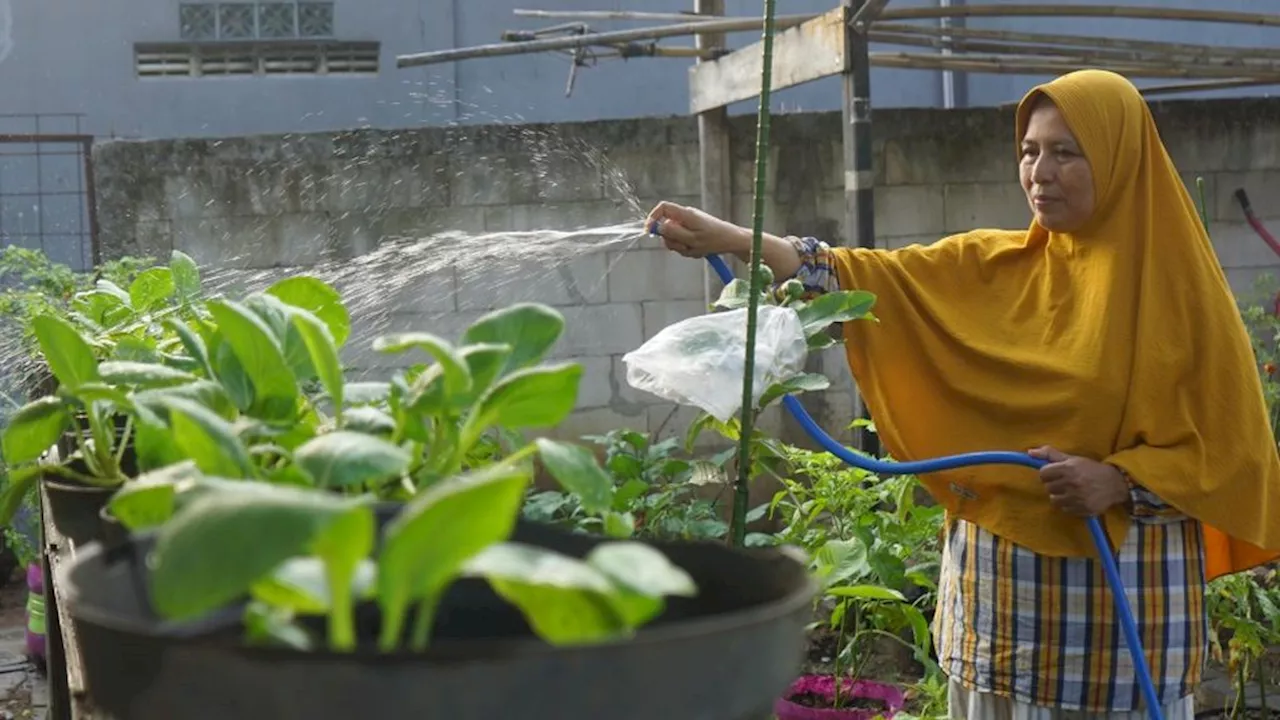 Menghidupkan Lahan Terbengkalai dengan ”Urban Farming” di Surakarta