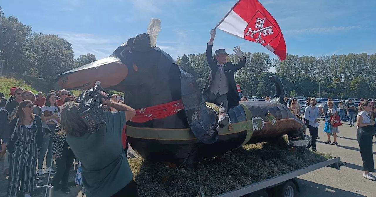 Eine Stadt im Hundefieber: Dackelparade in Regensburg gestartet