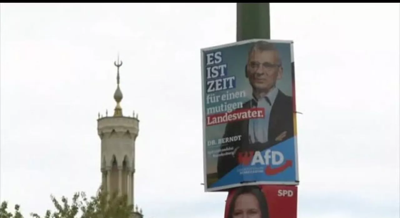 L'AfD avanti nei sondaggi in Brandeburgo: sfida per il governo del cancelliere Scholz