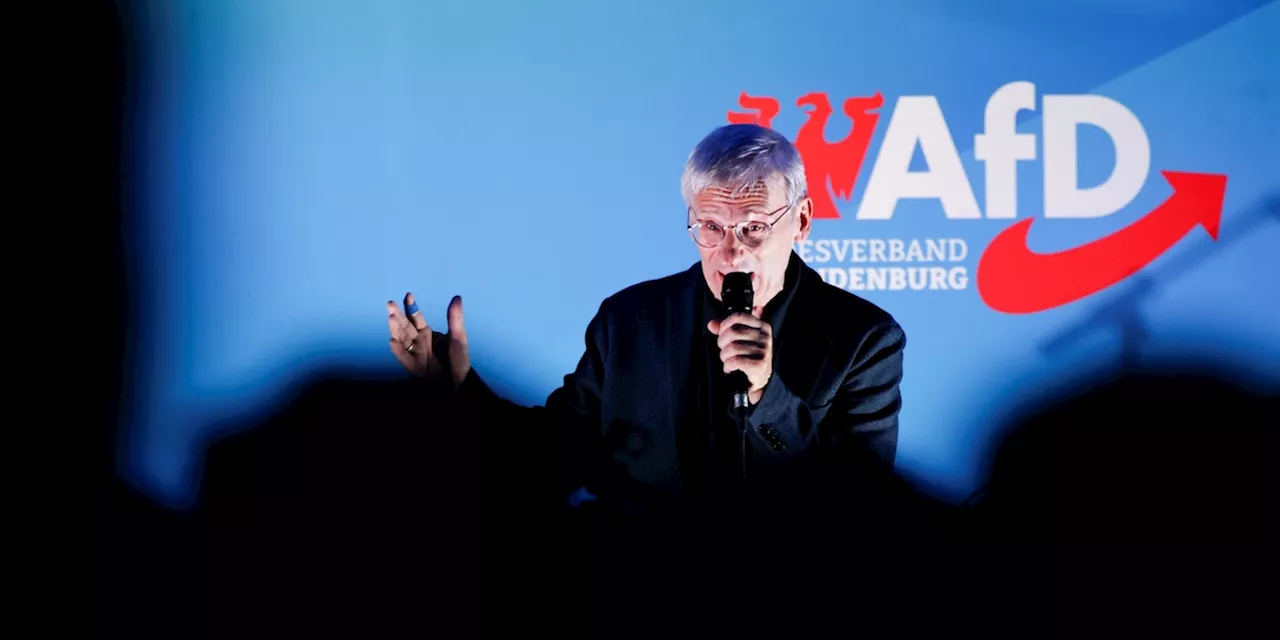 AfD vuole vincere anche nel Brandeburgo