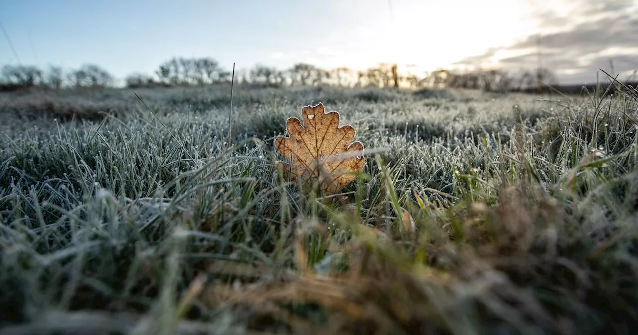 Autumn Officially Arrives in Ireland With Marked Temperature Drop