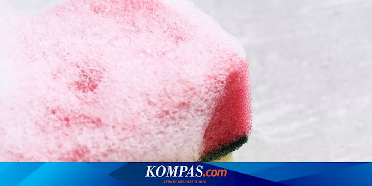 Waspada, Spons Dapur Bisa Picu Sejumlah Penyakit Kronis, Apa Saja?