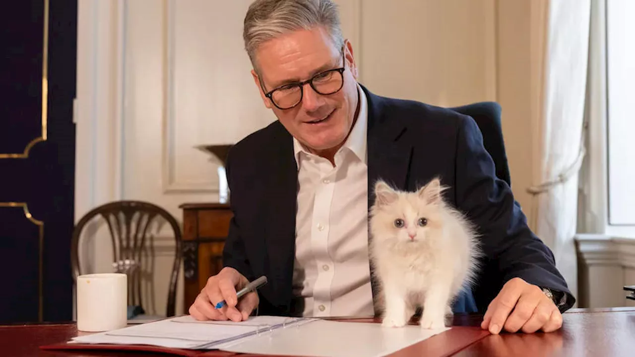 Prime Minister Keir Starmer unveils newest furry resident of Downing Street