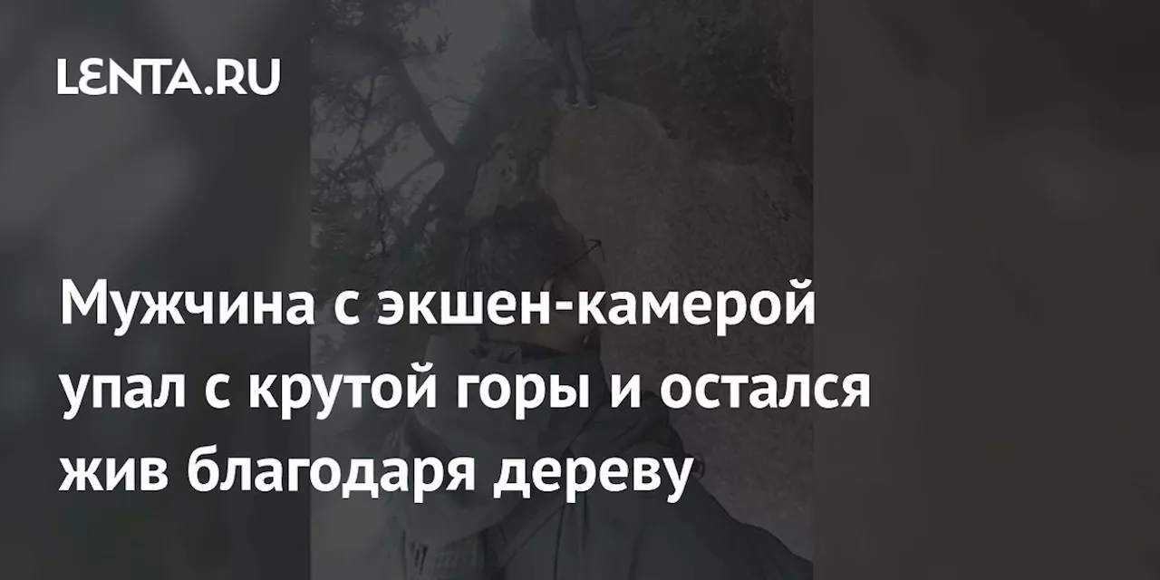 Мужчина с экшен-камерой упал с крутой горы и остался жив благодаря дереву