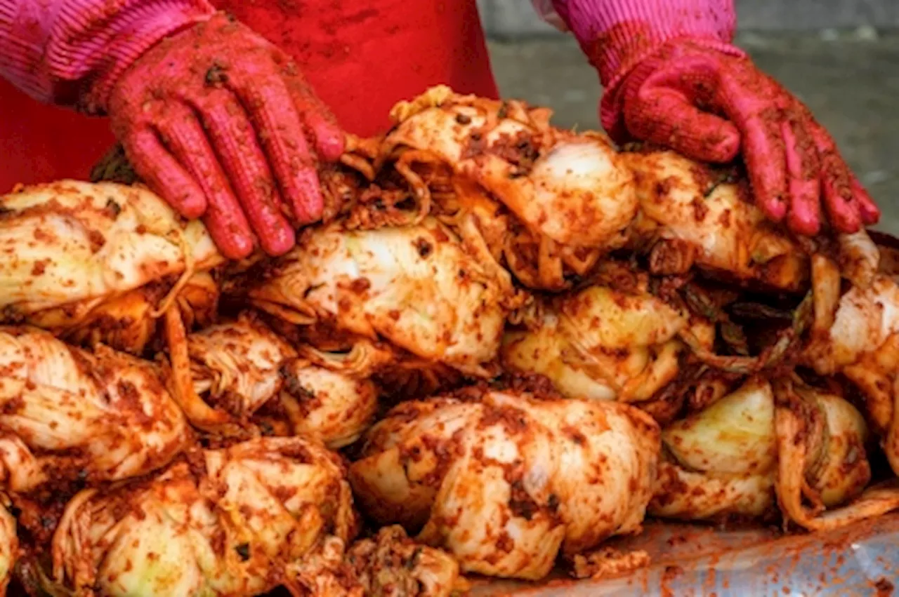 Time to call the kimchi police: South Korea’s heatwave is causing cabbage chaos