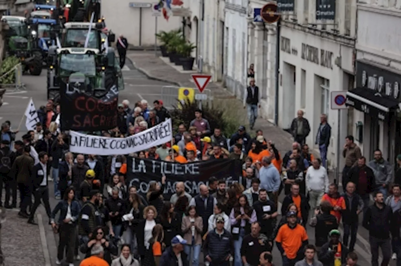 ‘We are the victims without being in any way responsible’: Angry French cognac makers protest looming China tariffs linked to EU EV vote