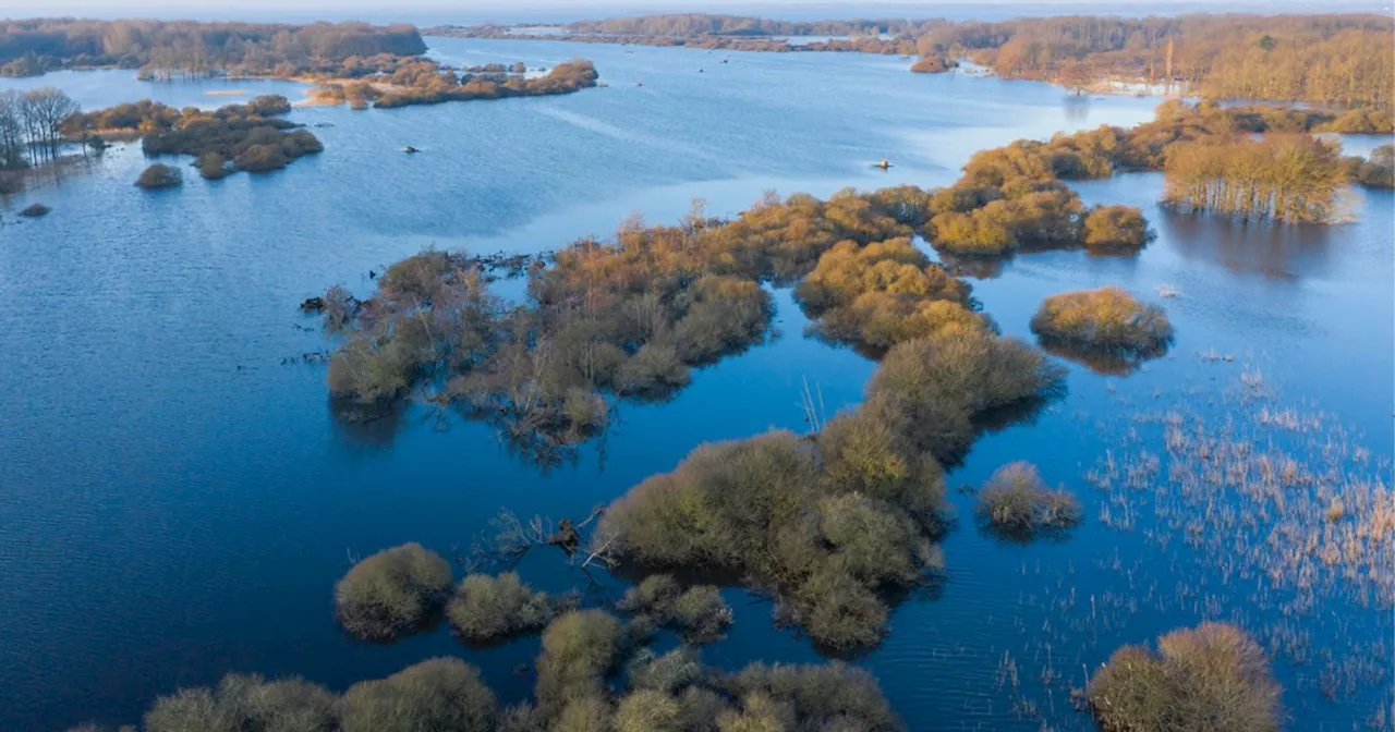 Près de Nantes, ce lac mystérieux et paisible est l’un des plus secrets de France