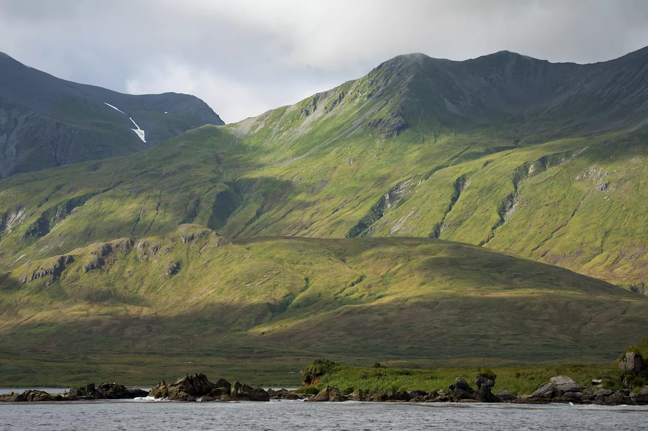 Why an Alaska island is using peanut butter to find a rat that might not exist