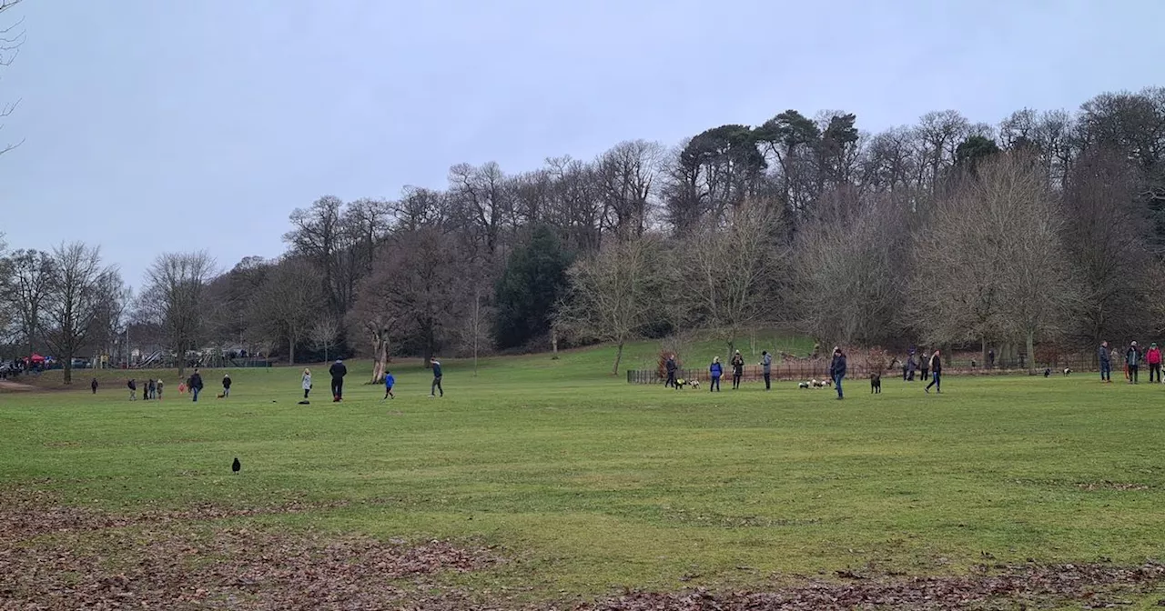 Decomposed dog found in Nottingham park by council workers