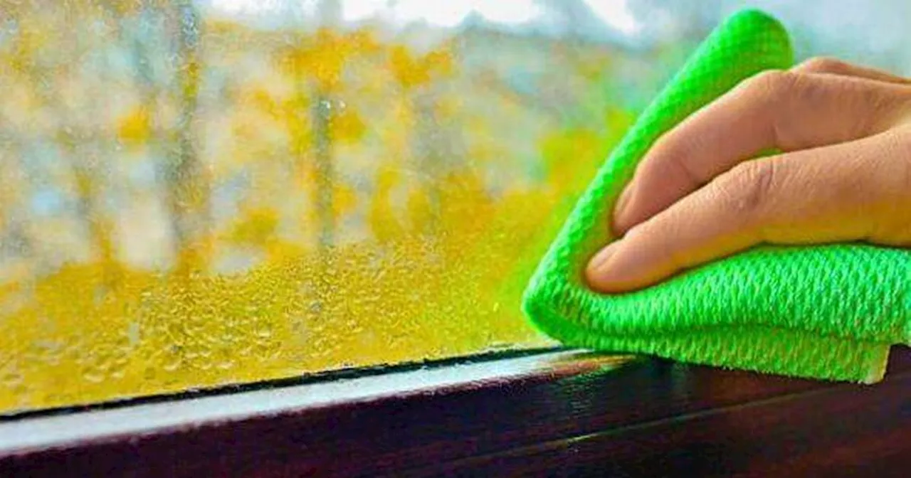 Expert Shares Handy Tip To Prevent Window Condensation