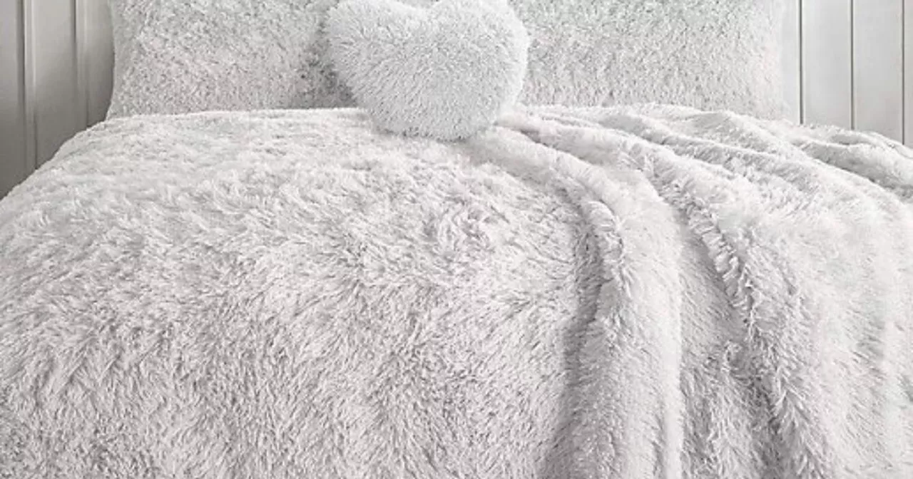 'Perfect for winter' teddybear fleece blanket deal drops to under £6