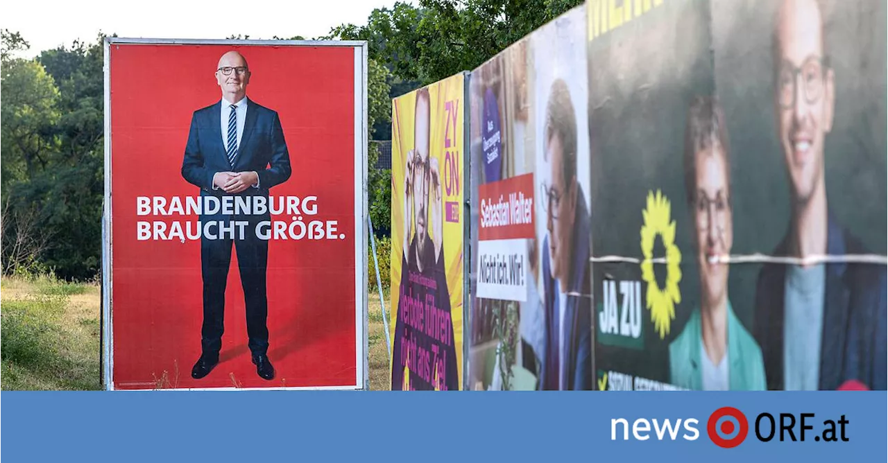 Brandenburg-Wahl: SPD-Landeschef im Duell mit AfD