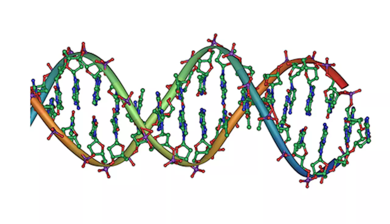 Researchers decode oldest human DNA from South Africa to date