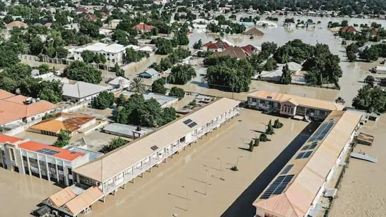 Flood: University of Maiduguri Teaching Hospital seeks help, set to resume basic services