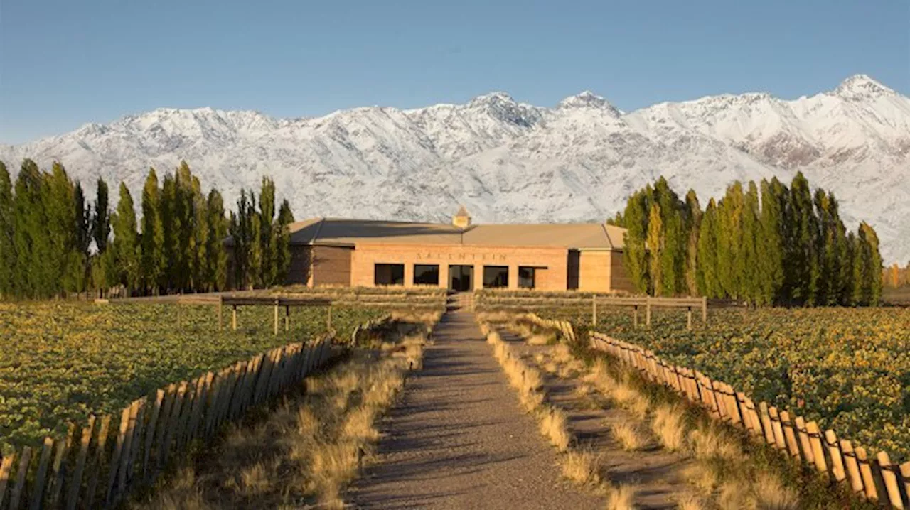 Meet the Little Argentine Region Making Stellar Wines