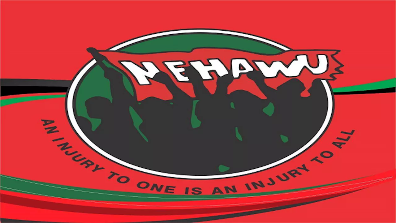 Nehawu questions removal of senior officials at NW Department - SABC News - Breaking news, special reports,