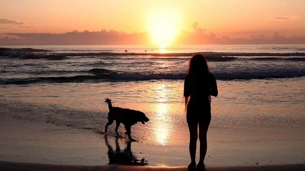 Daylight Saving Time: Benefits And Health Risks
