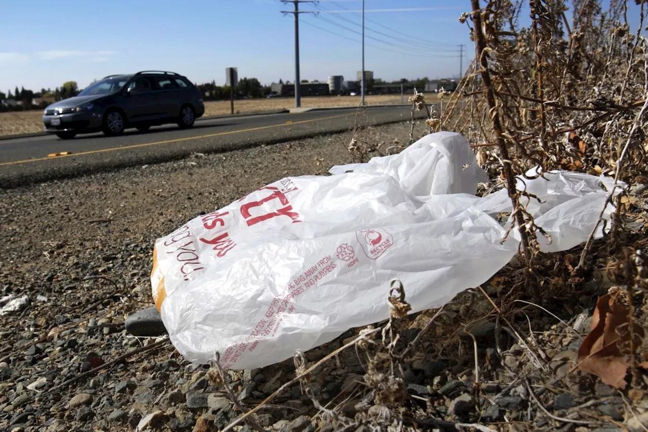 California governor signs law banning all plastic shopping bags at grocery stores