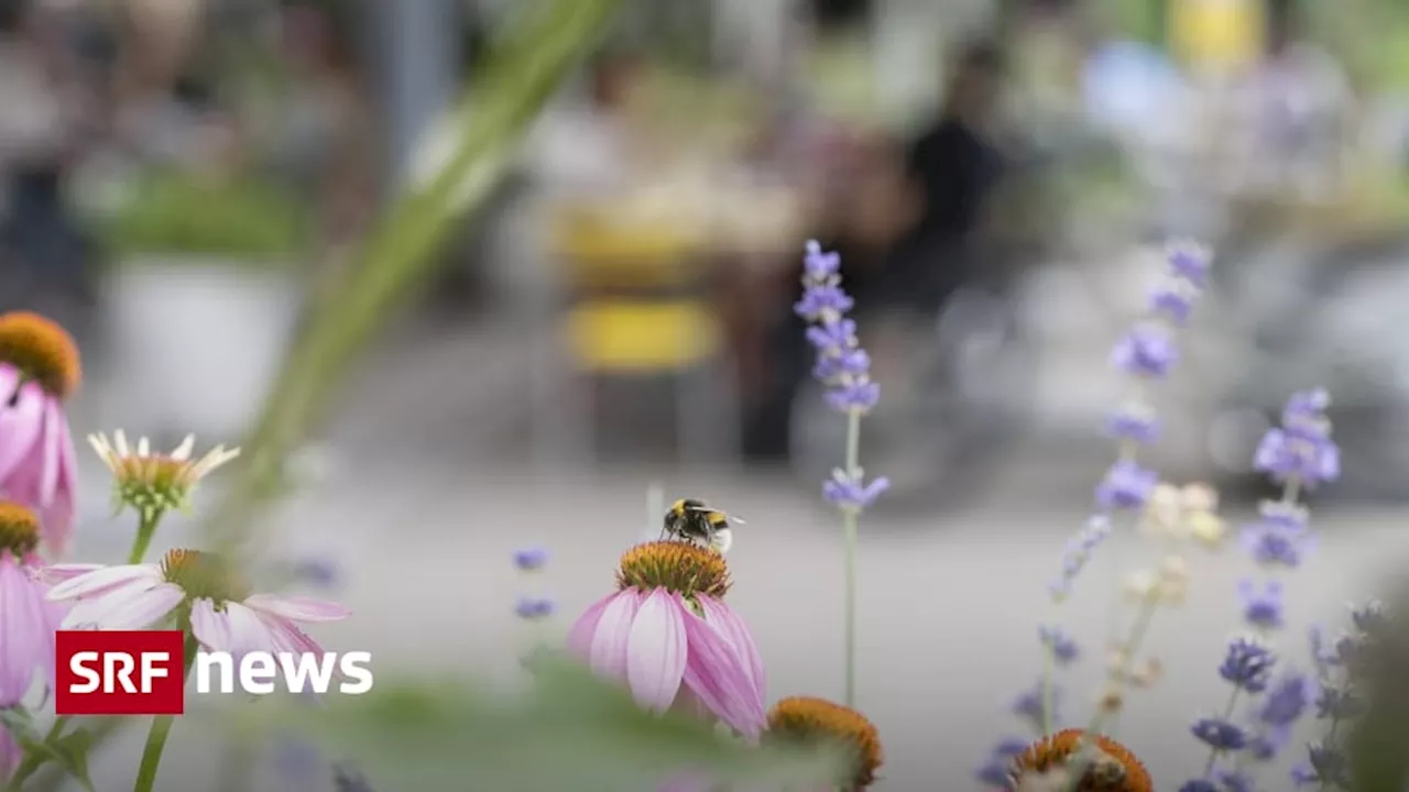 Resultate zur Biodiversitäts-Initiative