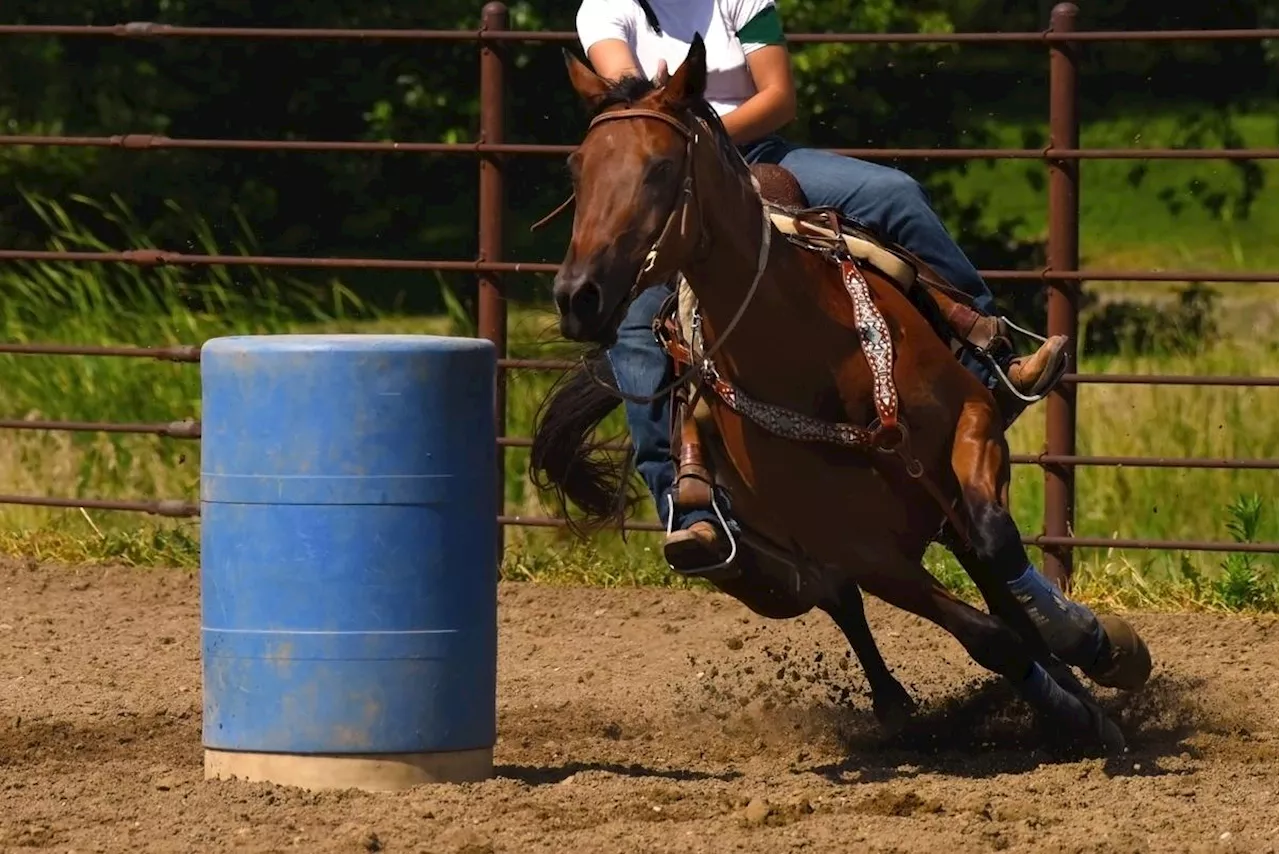 Championne d’équitation western, la cavalière française Florence Pessey décède après avoir chuté de son cheval