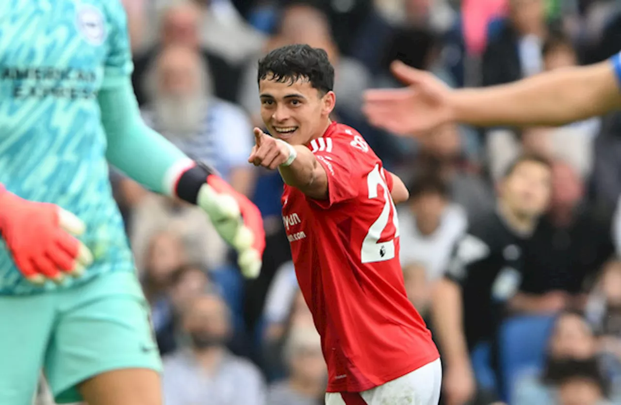 Sosa equaliser and both managers sent off as Forest and Brighton share the spoils