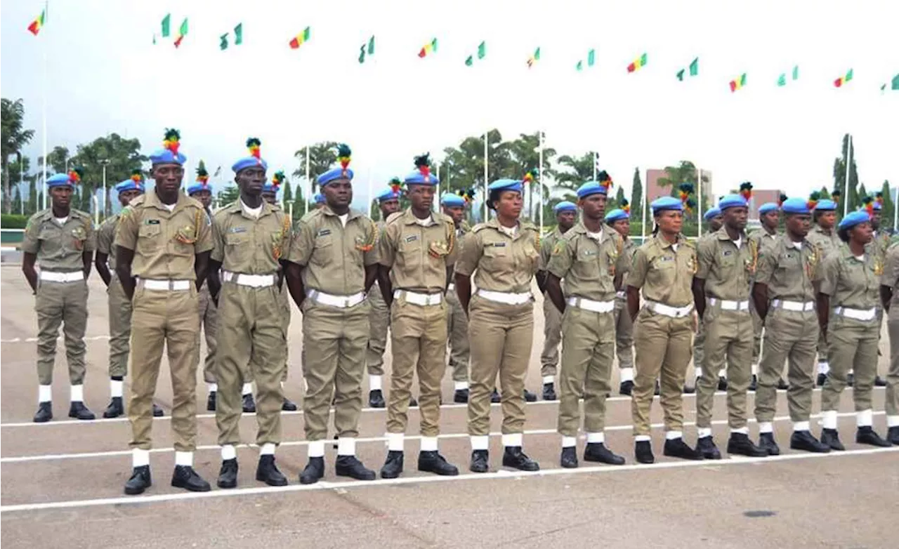 Nigerian Peace Corps asks senate to pass bill on creation of corps