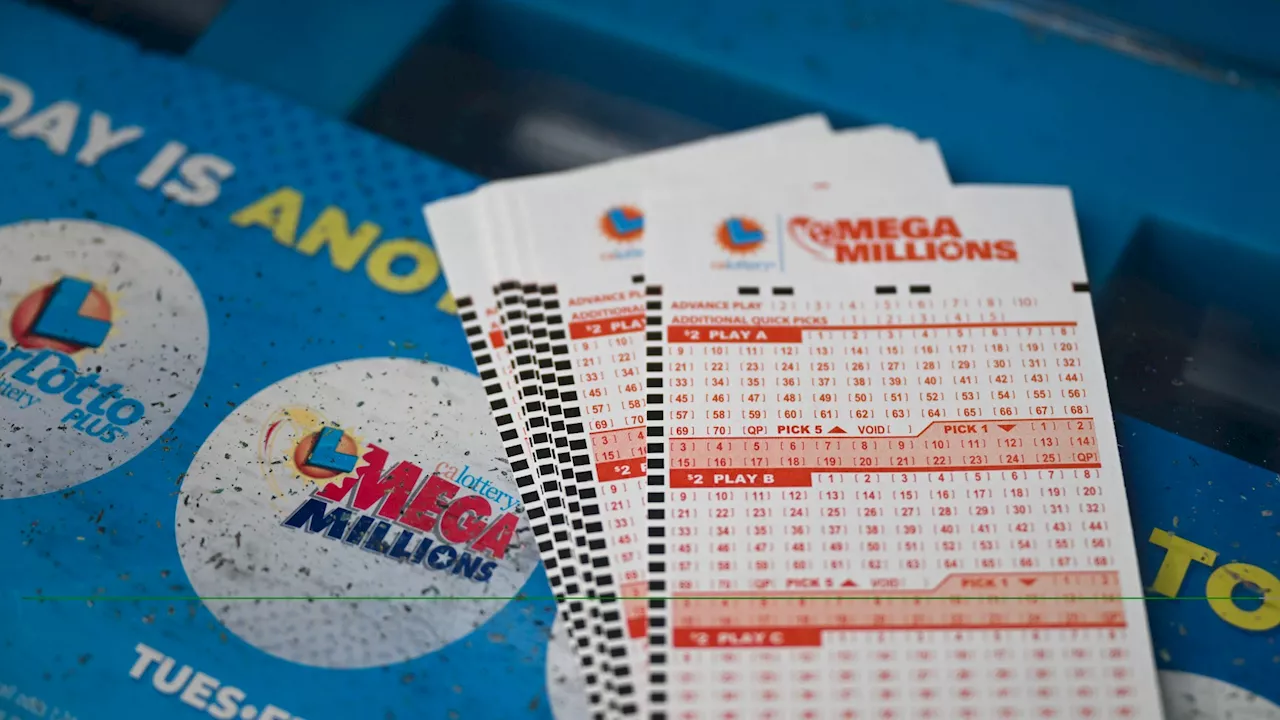 Lottery Expert Reveals Top Tips To Win Big