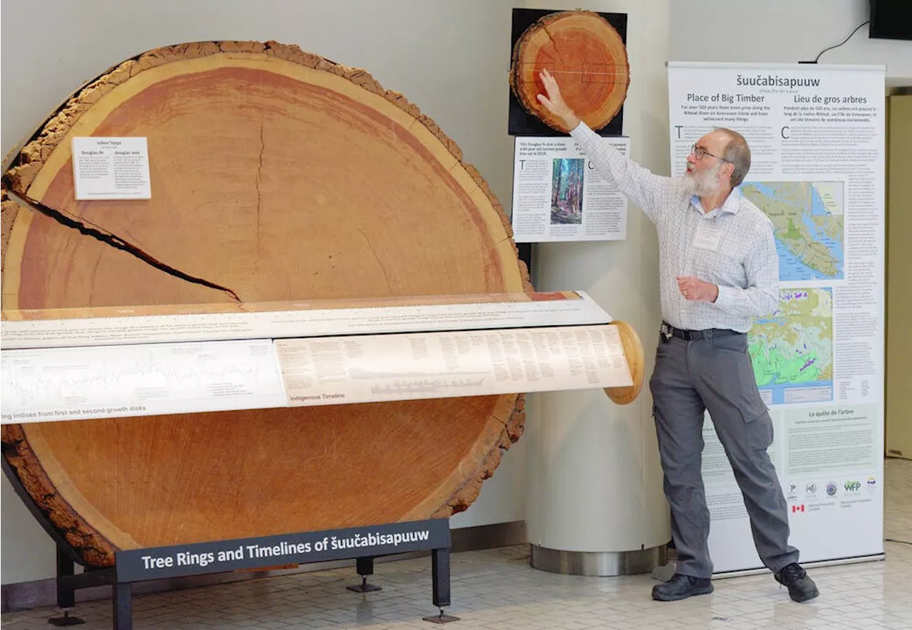 Monique Keiran: Forestry centre's 'tree cookie' now includes Indigenous history